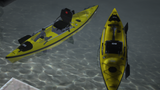 Kayak